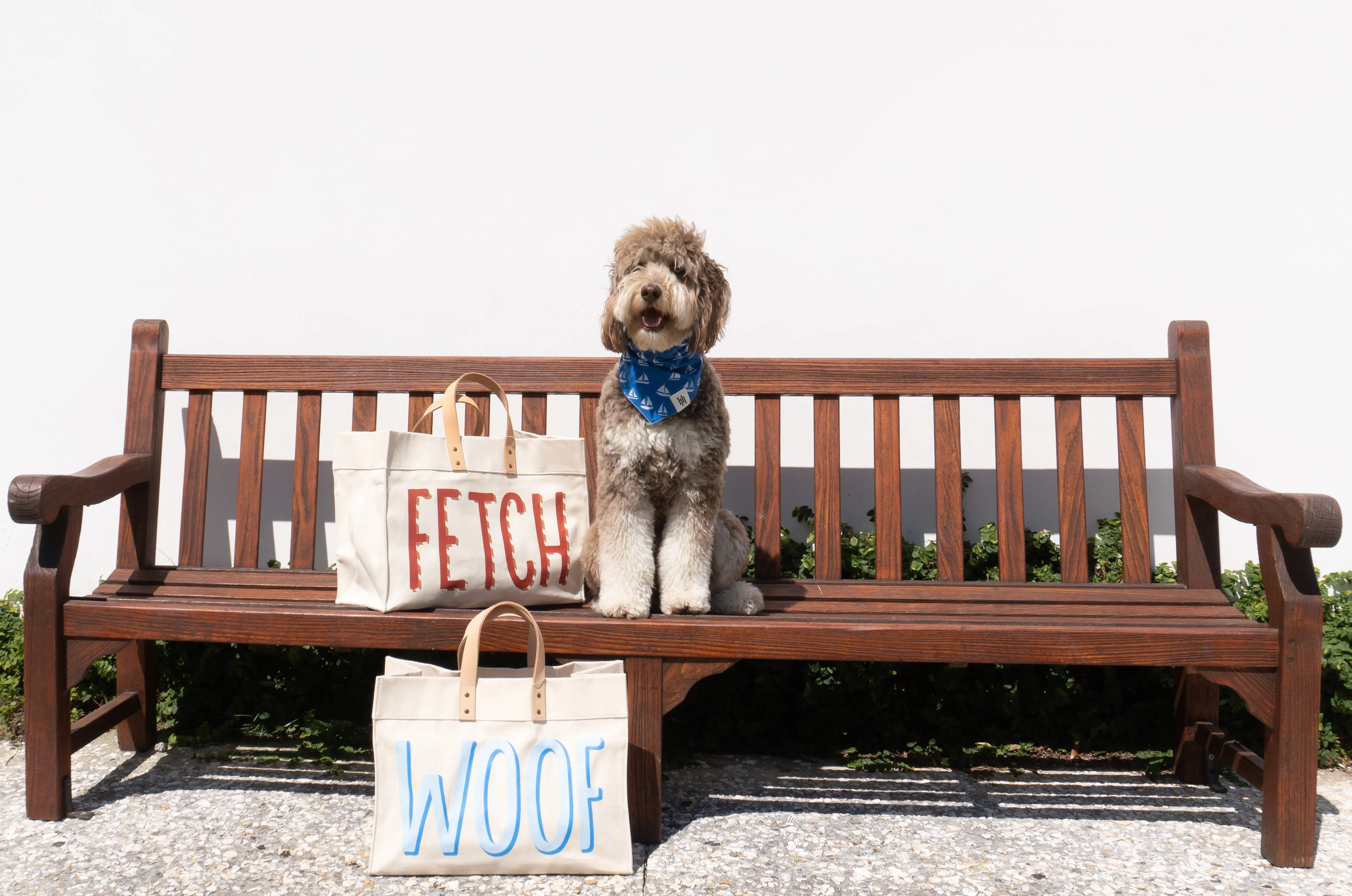 Fetch Tote