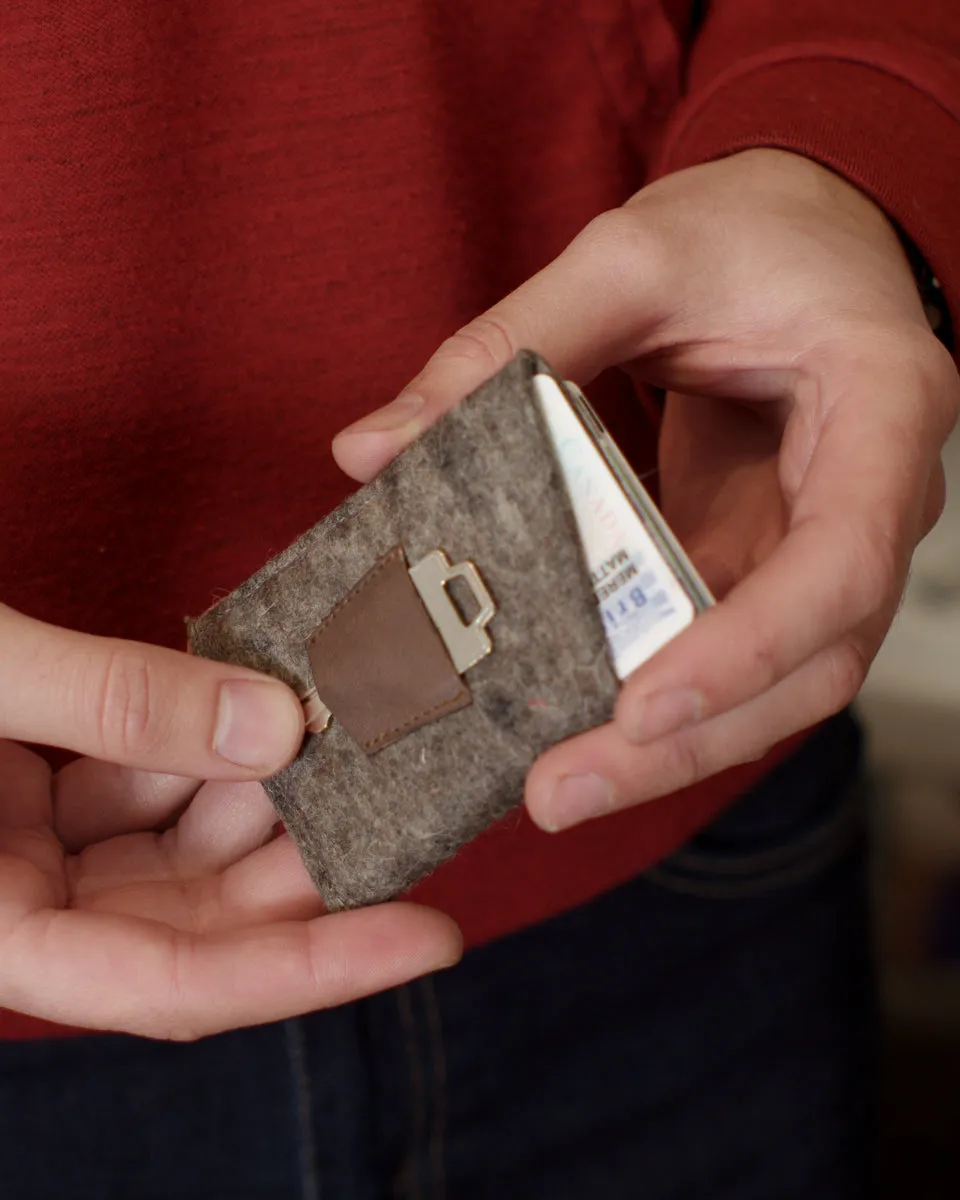 The Card Wallet PDF