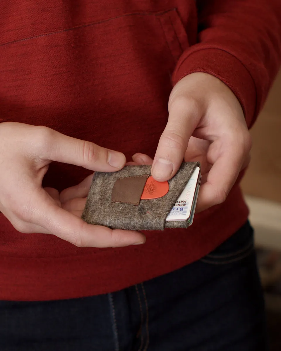 The Card Wallet PDF